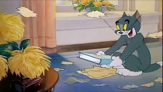 Tom And Jerry English Episodes - Mouse Trouble   - Cartoo