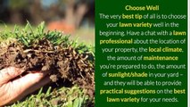 All Time Best Lawn Care Tips