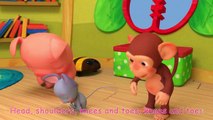 Head Shoulders Knees & Toes _ Nursery Rhymes