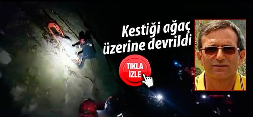 Kestiği ağaç üzerine devrilen şahıs hayatını kaybetti
