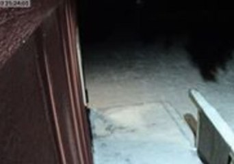 Fireball Lights Up Sky Over Baudette, Minnesota