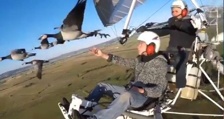 Kuşlarla Birlikte Uçtu, O Muhteşem Anlar İzleyenleri Büyüledi