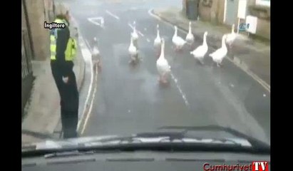 Polis otosunun önünü kestiler