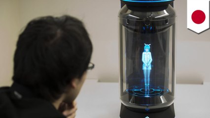 $2,500 virtual assistant could worsen Japan's population crisis