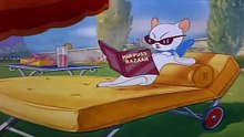 Tom And Jerry English Episodes - Springtime for Thomas  - Cartoons For
