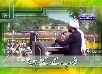 What is Purification of Individual and Society? [ Explained by: His Excellency Sahibzada Sultan Ahmad Ali Sb ]