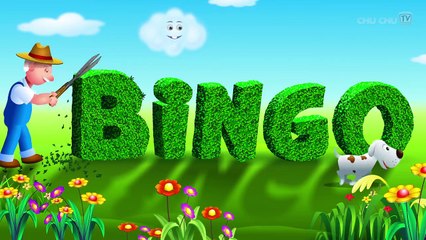 BINGO Dog Song - Nursery Rhyme With Lyrics - Cartoo