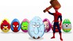 Learn Colors! Surprise Eggs! Masha and the Bear! Spiderman! Hulk! Paw Patrol