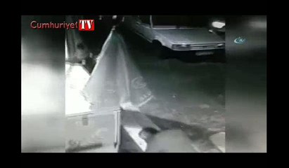 Vahşet! Kediyi boğarak öldürdü