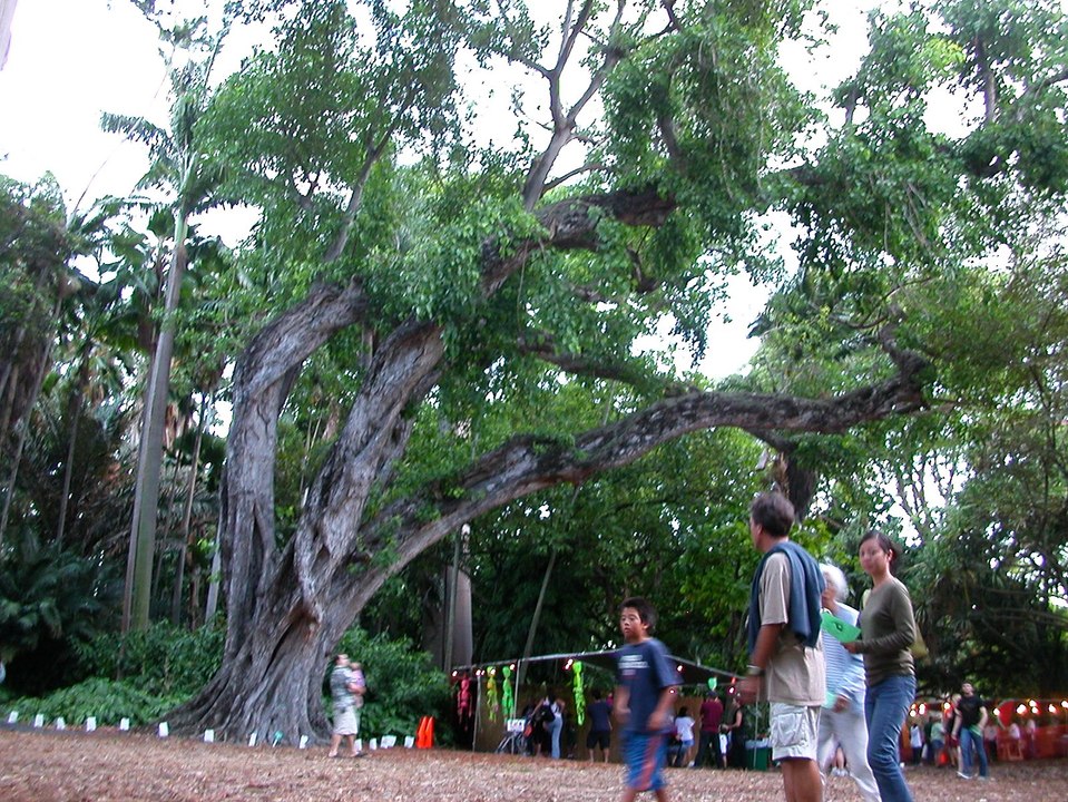 Visit Oahu Day 4