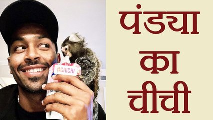 India vs South Africa 1st Test: Hardik Pandya gets "Chichi" as his new friend | वनइंडिया हिंदी
