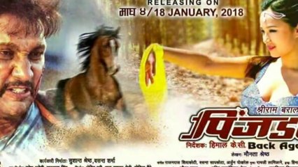 Pinjada Back Again -- New Nepali Movie 2017-2074 - Official Trailer - Nikhil Upreti,Sara Shirpaili