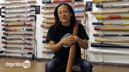 Didgeridoo Dojo Lesson Preview - Diaphragm Rhythm 1