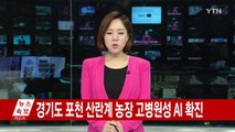 닭으로 번진 AI...평창 올림픽 앞두고 최대 고비 / YTN