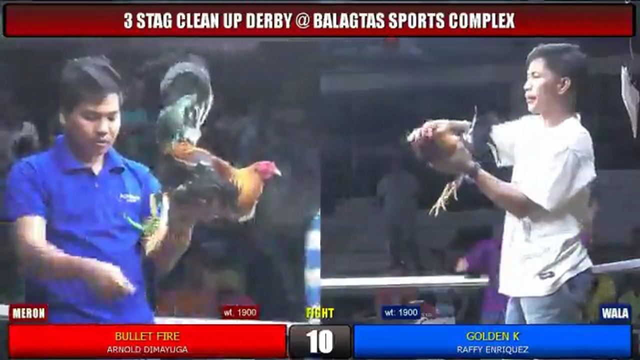 3 Stag Clean Up Derby: Fight #10