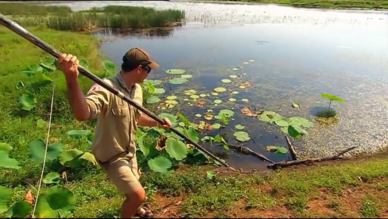 Outback Wildlife Rescue Episode 12