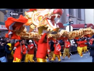 THE DRAGON'S GLARE -- Official Trailer