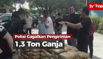 Polisi Gagalkan Pengiriman 1,3 Ton Ganja dari Aceh
