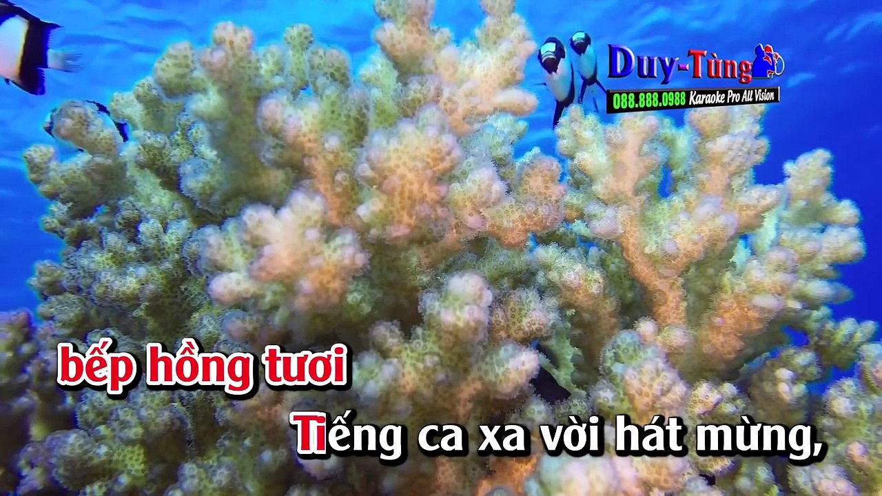 Karaoke - Liên Khúc Nhạc Sống Trữ Tình Cha Cha Cha - Tuyển Chọn Đặc Sắc vol 2 Hay Nhất 2018