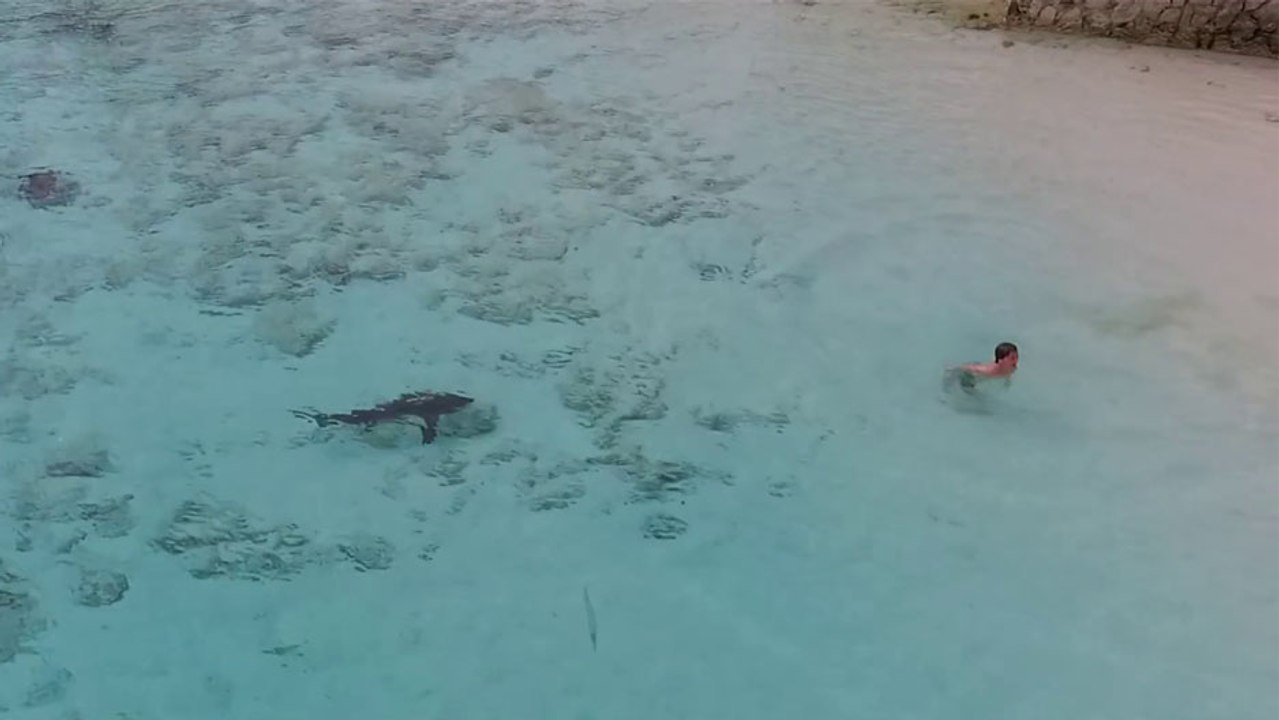 Des curieux s'approchent d'un enfant qui saute dans l'eau