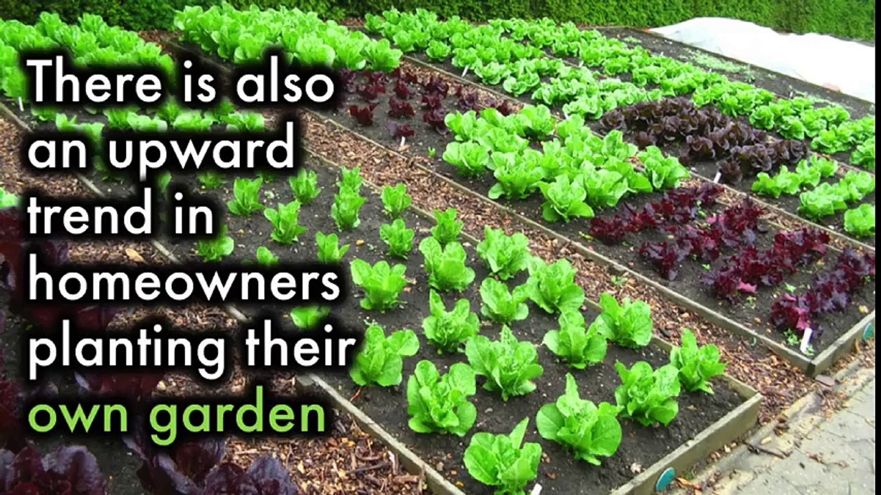 You Will Never Throw Away Plastic Bottles After Watching This
