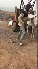 Ré ba tass 'dama koye reye '