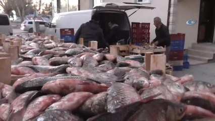 Beyşehir Gölü'nden Suriye'ye "Çin Sazanı" İhracatı