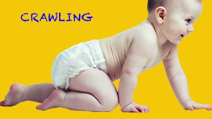 BABY - TODDLER FIRST WORDS / EDUCATIONAL VIDEO / LEARNING VEHICLES, ANIMALS, FOOD, TOYS WITH SOUNDS