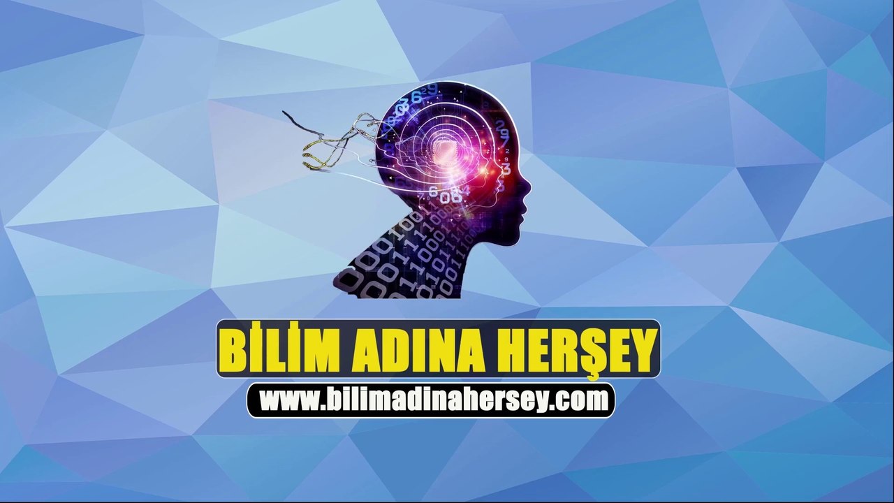 Sebe Halkı Ve Arim Seli