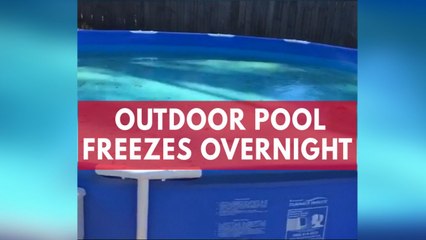 Florida man discovers pool has frozen overnight