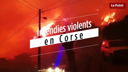 Tempête Eléanor: de violents incendies font 3 blessés en Corse