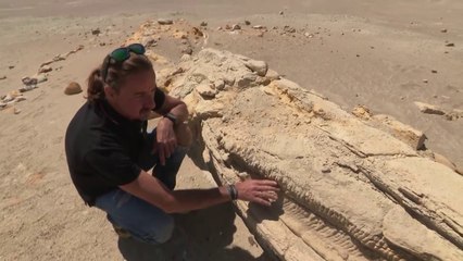 Les recos : les zone protégées à éviter