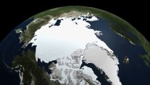 El cambio climático podría estar cambiando el ecosistema ártico