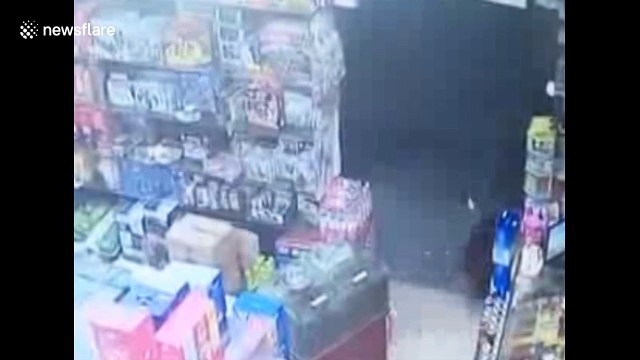 Wild boar attacks passerby in Chinese city