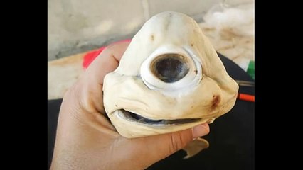 Πλάσματα που λογικά δε θα έπρεπε να υπάρχουν!!!