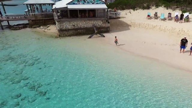 Un enfant dans l'eau attire quelques requins curieux au Bahamas