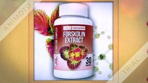 Trim Genesis Forskolin : Get Slim And Perfect Body