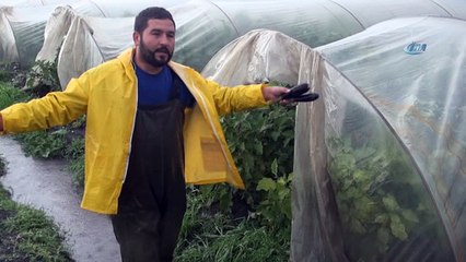 Tarsus'ta seralar sular altında kaldı