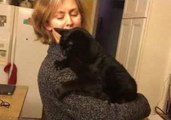 Cat Goes Crazy When Owner Scratches Particular Part of Her Back