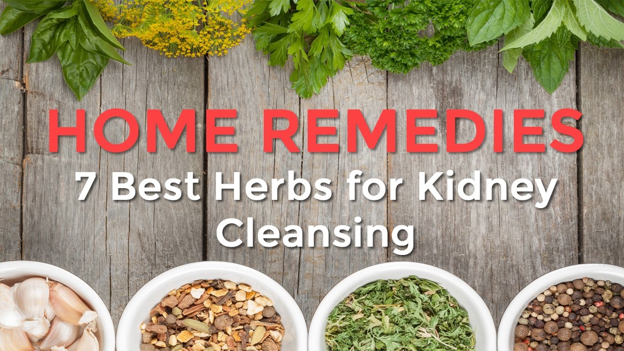 7 Top Herbs for Kidney Cleansing Useful Tips