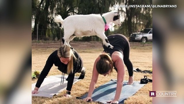 Luke Bryan's wife owns Instagram | Rare Country