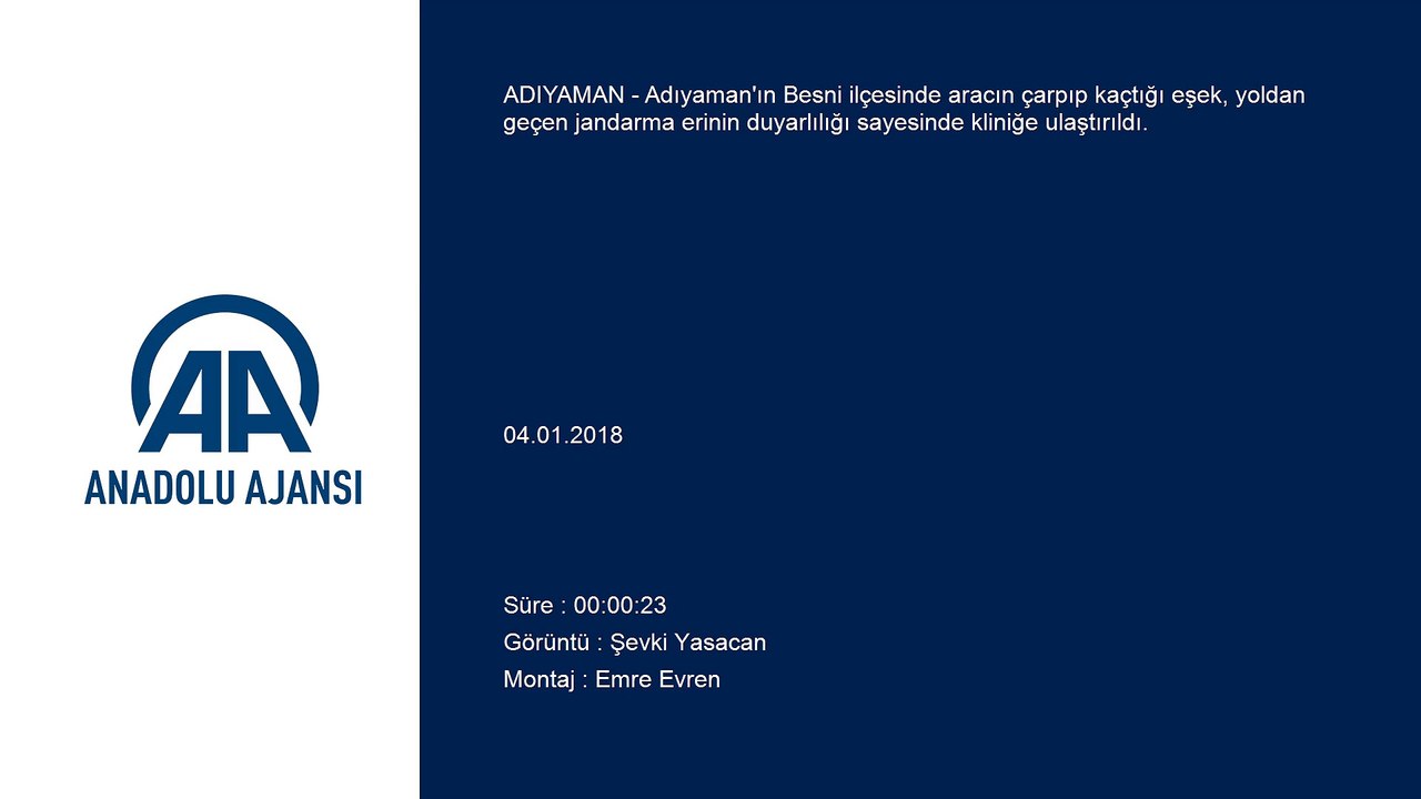 Yaralı eşeğe asker şefkati - ADIYAMAN