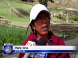Cultivos dañados por granizada en la provincia de Chimborazo