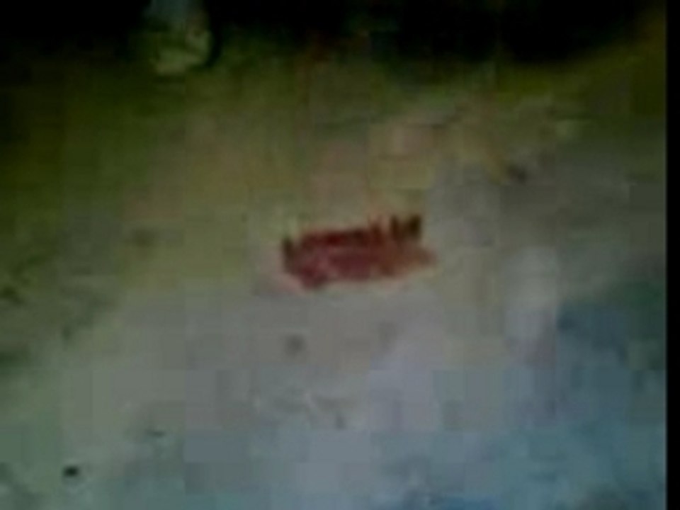 Video-0001