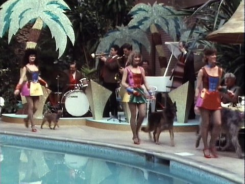 A Perfect Spy (1987) E05