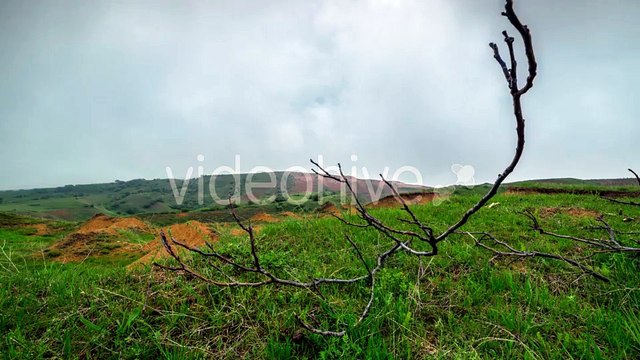Cloud Disperse Fog In The Mountains On a Background Of Branches, Kazakhstan - by Timelapse4K