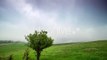 Cloud Mist Covers a Green Field With a Lone Tree In Kazakhstan by Timelapse4K