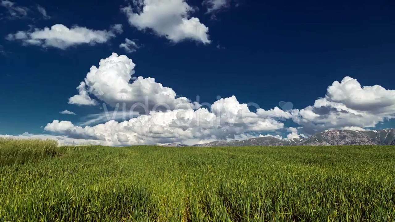 Clouds Over the Green Field of Wheat in Kazakhstan by Timelapse4K - Hive