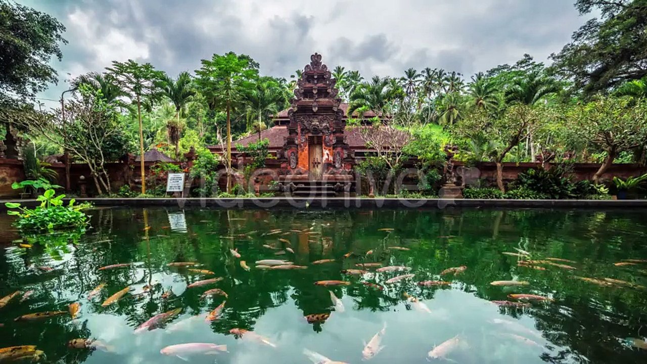Fish Pond On The Background Of The Temple in Bali, Indonesia by Timelapse4K