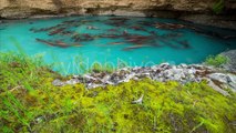 Logs Trees In The Blue Lake Canyon Aksu, Kazakhstan - by Timelapse4K
